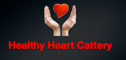 healthy heart cattery